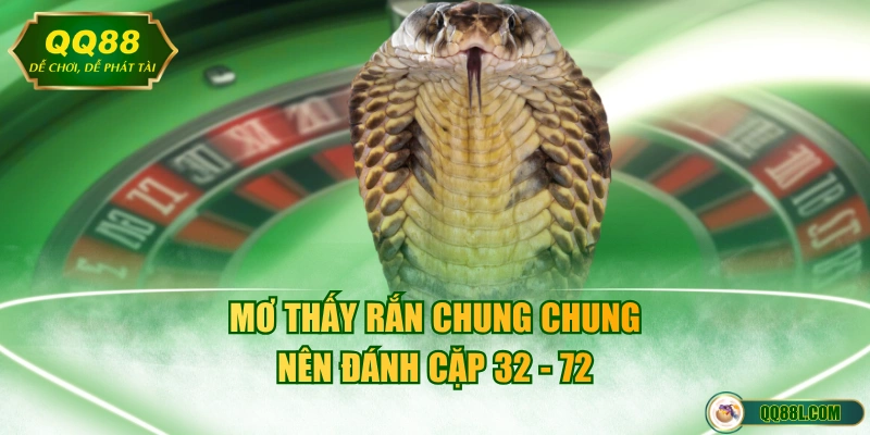 Mơ thấy rắn chung chung nên đánh cặp 32 - 72