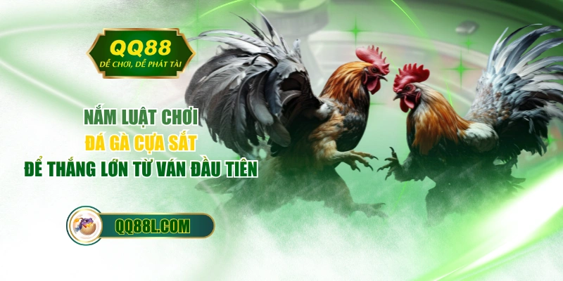 Nắm Luật Chơi Đá Gà Cựa Sắt Để Thắng Lớn Từ Ván Đầu Tiên